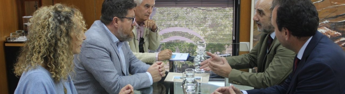 La Junta amplía su investigación sobre el efecto del cultivo de cebada en olivares para ahorrar agua y frenar la erosión La Junta amplía su investigación sobre el efecto del cultivo de cebada en olivares para ahorrar agua y frenar la erosión