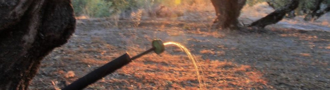 La precipitación media en los embalses del Guadalquivir ha sido de 706 litros por metro cuadrado en este año hidrológico La precipitación media en los embalses del Guadalquivir ha sido de 706 litros por metro cuadrado en este año hidrológico