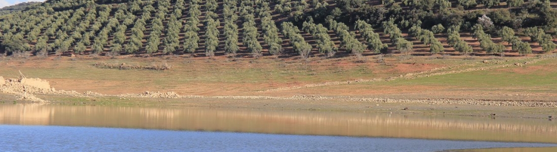 La reserva hídrica española se encuentra al 62,7% de su capacidad y la del Guadalquivir al 44 La reserva hídrica española se encuentra al 62,7% de su capacidad y la del Guadalquivir al 44