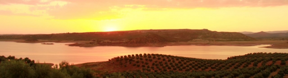Agricultura abre la convocatoria de ayudas para inversiones en auditorías energéticas de las instalaciones de riego Agricultura abre la convocatoria de ayudas para inversiones en auditorías energéticas de las instalaciones de riego