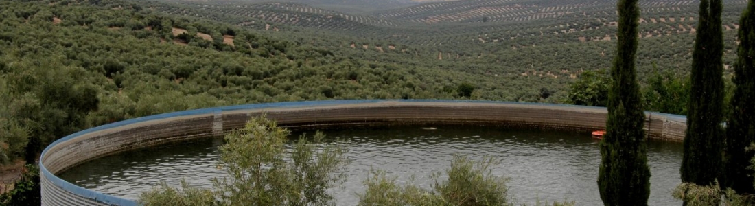 UPA Jaén reclama a la CHG que todos los regantes con autorización puedan ser beneficiarios del riego extraordinario y de apoyo en la campaña 2019 UPA Jaén reclama a la CHG que todos los regantes con autorización puedan ser beneficiarios del riego extraordinario y de apoyo en la campaña 2019
