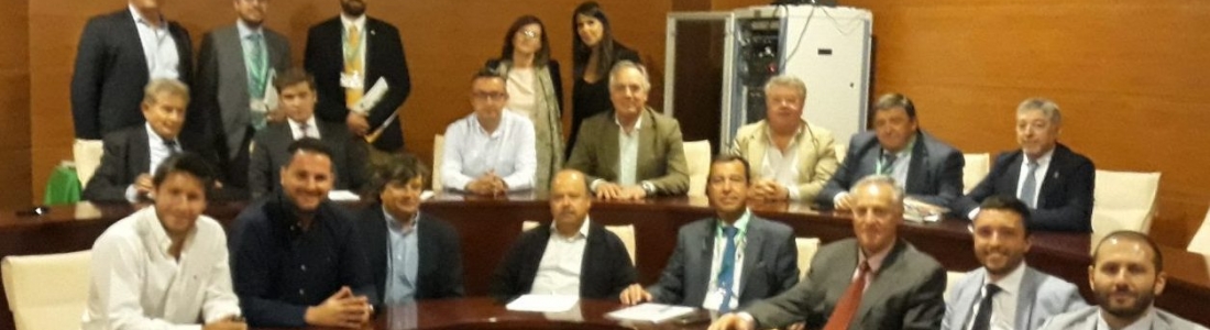 Preocupación en el sector por los bajos precios del aceite de orujo de oliva y las biomasas del olivar Preocupación en el sector por los bajos precios del aceite de orujo de oliva y las biomasas del olivar