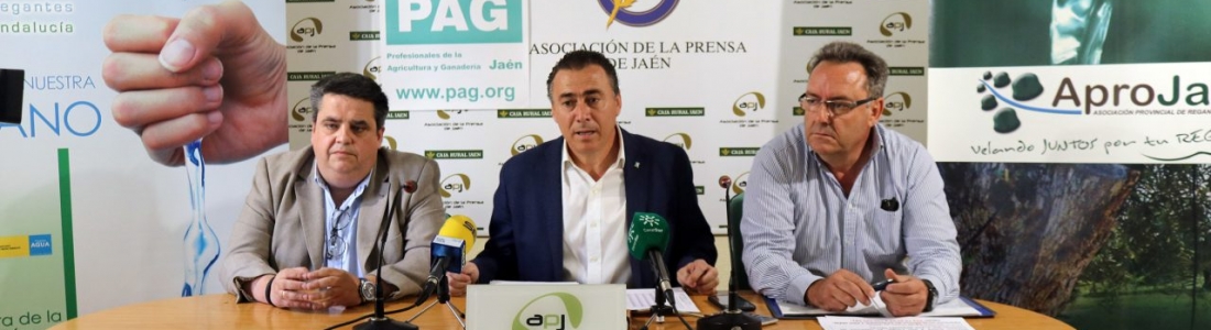 APROJAÉN, AREDA y PAG Jaén esperan reunir a 1.000 tractores en Úbeda para pedir soluciones al precio del aceite de oliva y a la regularización de regadíos APROJAÉN, AREDA y PAG Jaén esperan reunir a 1.000 tractores en Úbeda para pedir soluciones al precio del aceite de oliva y a la regularización de regadíos