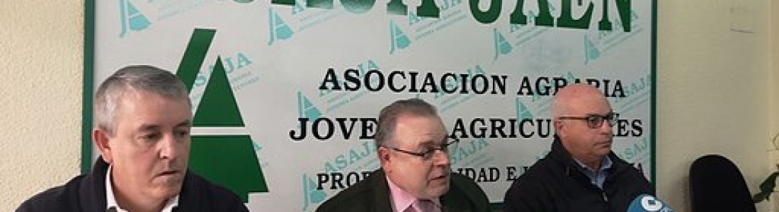 ASAJA-Jaén afirma que las lluvias registradas en 2018 han arrastrado el precio del aceite de oliva ASAJA-Jaén afirma que las lluvias registradas en 2018 han arrastrado el precio del aceite de oliva