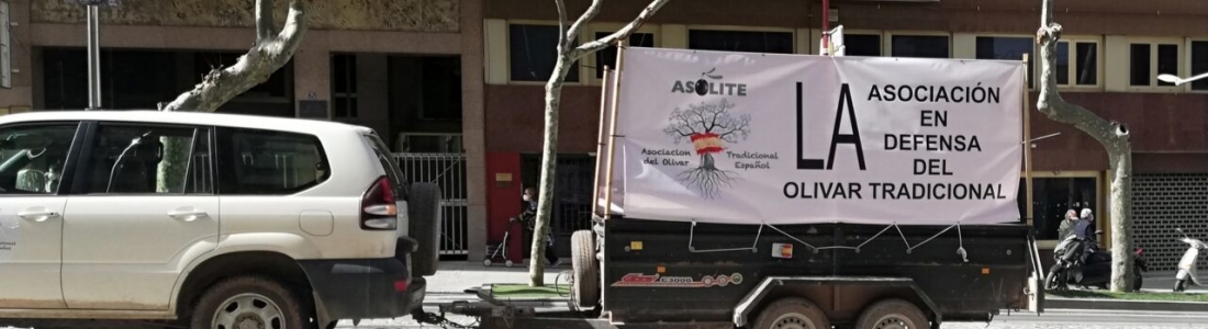 Asolite convoca una marcha de vehículos en Jaén por la situación de crisis en el sector primario y para reclamar precios dignos Asolite convoca una marcha de vehículos en Jaén por la situación de crisis en el sector primario y para reclamar precios dignos