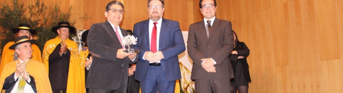 Agricultura apuesta por la unión para mejorar en comercialización e internacionalización del aceite de oliva Agricultura apuesta por la unión para mejorar en comercialización e internacionalización del aceite de oliva
