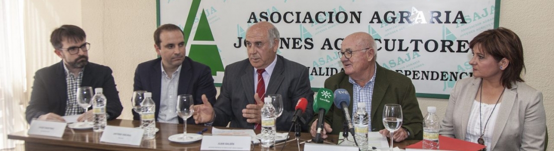 La Junta destina en la provincia de Jaén más de 900.000 euros para al desarrollo de 4 proyectos innovadores en el olivar La Junta destina en la provincia de Jaén más de 900.000 euros para al desarrollo de 4 proyectos innovadores en el olivar