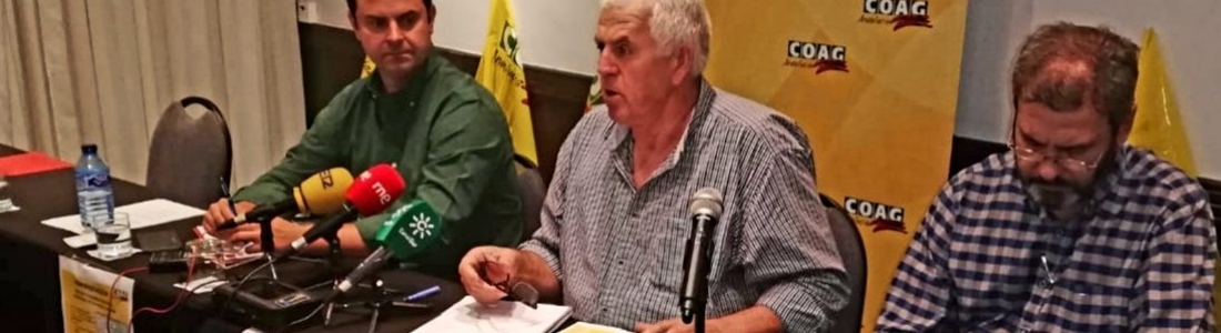 COAG-Andalucía asegura que “está en peligro el olivar tradicional, centenario y sostenible” COAG-Andalucía asegura que “está en peligro el olivar tradicional, centenario y sostenible”