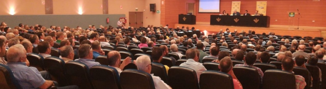 COAG celebra en Expoliva una jornada para analizar estrategias frente a la crisis de precios del aceite de oliva COAG celebra en Expoliva una jornada para analizar estrategias frente a la crisis de precios del aceite de oliva