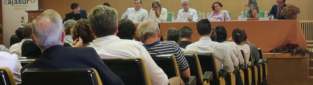 El IFAPA de Cabra acoge la jornada «Perspectivas del Olivar Mediterráneo» El IFAPA de Cabra acoge la jornada «Perspectivas del Olivar Mediterráneo»