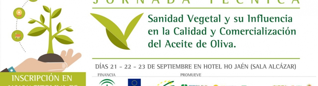Citoliva abordará en una jornada técnica los retos a los que se enfrenta el olivar Citoliva abordará en una jornada técnica los retos a los que se enfrenta el olivar