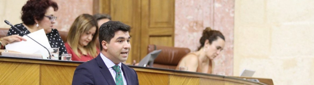 Ciudadanos saca adelante por unanimidad su proposición no de ley en defensa del aceite de oliva Ciudadanos saca adelante por unanimidad su proposición no de ley en defensa del aceite de oliva