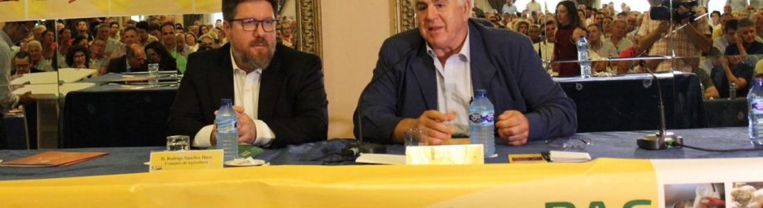 Sánchez Haro defiende que Andalucía no puede permitirse perder otros 1.052 millones de euros en la futura PAC Sánchez Haro defiende que Andalucía no puede permitirse perder otros 1.052 millones de euros en la futura PAC