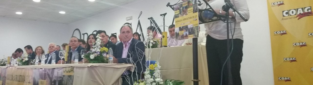 La presidenta de la Junta dice que la Ley de Agricultura pretende abrir un mercado más verde, más joven y más tecnológico La presidenta de la Junta dice que la Ley de Agricultura pretende abrir un mercado más verde, más joven y más tecnológico