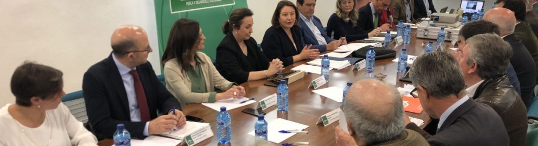 El sector acuerda trabajar de forma conjunta con las administraciones ante la crisis de precios del aceite de oliva en origen El sector acuerda trabajar de forma conjunta con las administraciones ante la crisis de precios del aceite de oliva en origen