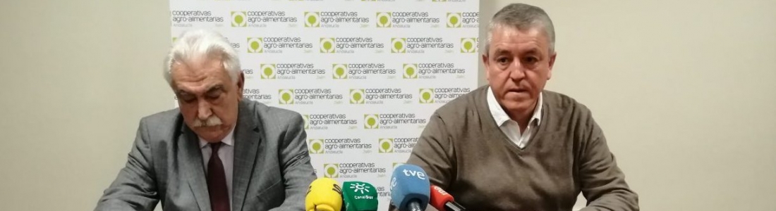 Cooperativas Agro-alimentarias de Jaén denuncia «el engaño de la UE al sector productor por la medida cicatera” de almacenamiento privado de aceite de oliva Cooperativas Agro-alimentarias de Jaén denuncia «el engaño de la UE al sector productor por la medida cicatera” de almacenamiento privado de aceite de oliva
