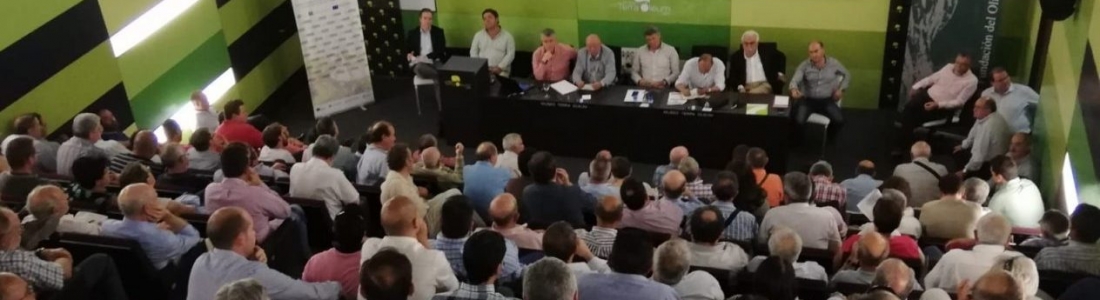 El Consejo Sectorial de Cooperativas Agro-alimentarias de Andalucía se reúne en el Museo Terra Oleum en vísperas de la concentración de mañana El Consejo Sectorial de Cooperativas Agro-alimentarias de Andalucía se reúne en el Museo Terra Oleum en vísperas de la concentración de mañana