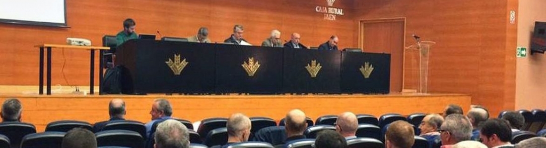 Cooperativas Agro-alimentarias analiza el aforo de la Junta, del que no espera que en Andalucía se superen las 900.000 toneladas Cooperativas Agro-alimentarias analiza el aforo de la Junta, del que no espera que en Andalucía se superen las 900.000 toneladas