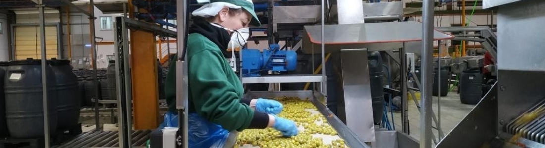 Cooperativas Agro-alimentarias de Andalucía urge medidas económicas para el sector primario Cooperativas Agro-alimentarias de Andalucía urge medidas económicas para el sector primario