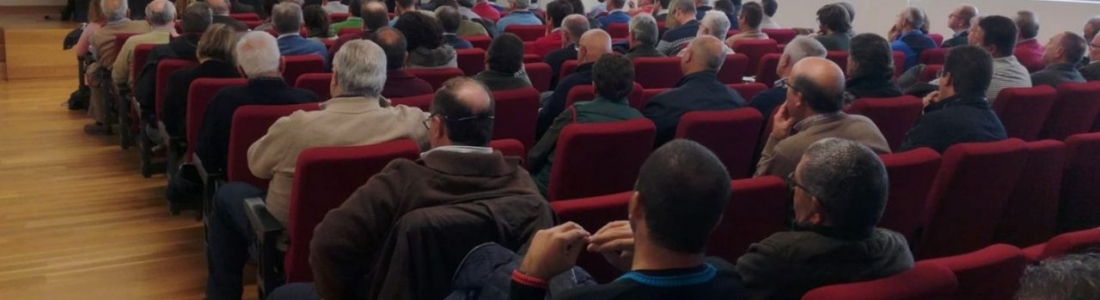 Un centenar de cooperativas aclaran dudas sobre la inminente licitación del almacenamiento privado de aceite de oliva Un centenar de cooperativas aclaran dudas sobre la inminente licitación del almacenamiento privado de aceite de oliva