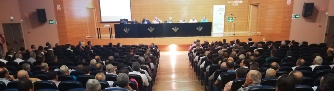 Cooperativas aboga por la unidad y el espíritu reivindicativo para revertir la caída de precios del aceite de oliva en origen Cooperativas aboga por la unidad y el espíritu reivindicativo para revertir la caída de precios del aceite de oliva en origen