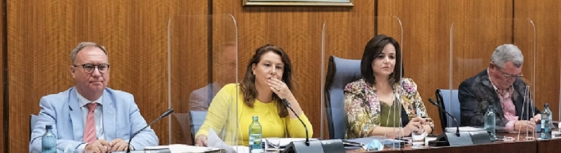 Crespo llama a la “unidad” por una PAC sin recortes y en defensa del sector agro andaluz Crespo llama a la “unidad” por una PAC sin recortes y en defensa del sector agro andaluz