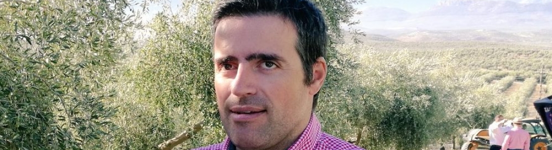 UPA-Jaén prevé una campaña «difícil» y una cosecha de aceite por debajo de la anterior UPA-Jaén prevé una campaña «difícil» y una cosecha de aceite por debajo de la anterior