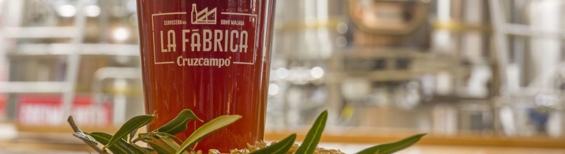 Cruzcampo crea la primera cerveza con cebada cultivada en olivares de Jaén Cruzcampo crea la primera cerveza con cebada cultivada en olivares de Jaén