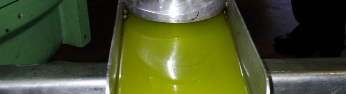 Los productores de aceite de oliva de EEUU y Deoleo solicitan conjuntamente a la FDA que adopte por primera vez estándares de calidad en la industria del aceite de oliva Los productores de aceite de oliva de EEUU y Deoleo solicitan conjuntamente a la FDA que adopte por primera vez estándares de calidad en la industria del aceite de oliva