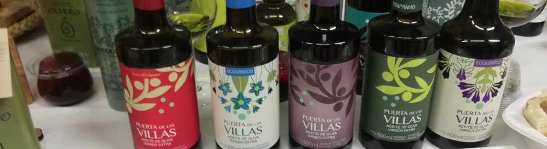 El Centro de Interpretación Olivar y Aceite celebra la Fiesta de los Aceites de Cosecha Temprana El Centro de Interpretación Olivar y Aceite celebra la Fiesta de los Aceites de Cosecha Temprana