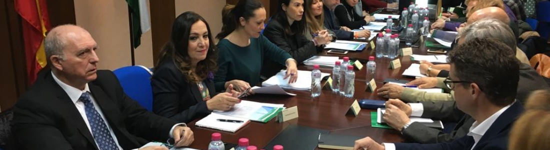 La red de albergues atendió a 5.704 personas y registró una ocupación media del 56% en la pasada campaña de la aceituna La red de albergues atendió a 5.704 personas y registró una ocupación media del 56% en la pasada campaña de la aceituna