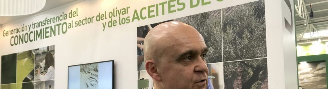 Un estudio de la UJA describe que un compuesto del aceite de oliva virgen favorece la cicatrización de las heridas Un estudio de la UJA describe que un compuesto del aceite de oliva virgen favorece la cicatrización de las heridas
