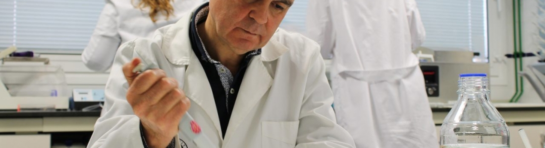 Investigadores de la Universidad de Jaén exponen los beneficios de dos fitoestrógenos presentes en los aceites de oliva virgen extra Investigadores de la Universidad de Jaén exponen los beneficios de dos fitoestrógenos presentes en los aceites de oliva virgen extra