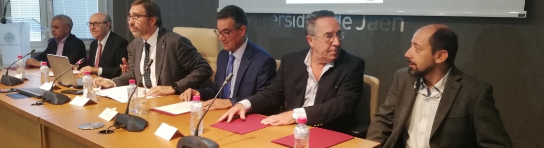 El director del COI defiende el incremento de la calidad del aceite de oliva como “regla” para que suban los precios El director del COI defiende el incremento de la calidad del aceite de oliva como “regla” para que suban los precios