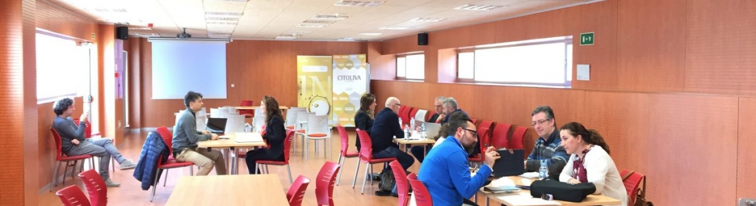 El clúster Inoleo consigue más de 350.000 euros para impulsar la digitalización en las empresas de la industria auxiliar oleícola española El clúster Inoleo consigue más de 350.000 euros para impulsar la digitalización en las empresas de la industria auxiliar oleícola española