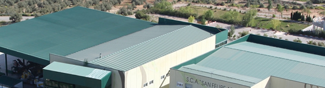 El Grupo Interóleo alcanza los 33 socios tras la incorporación de la cooperartiva San Felipe Apóstol de Baeza El Grupo Interóleo alcanza los 33 socios tras la incorporación de la cooperartiva San Felipe Apóstol de Baeza