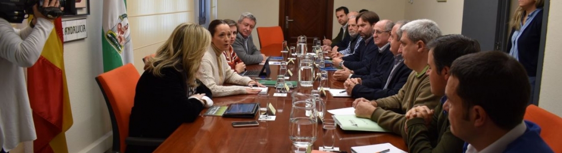 El sector productor y las administraciones valoran la IGP Aceite de Jaén y esperan que sea un revulsivo para la provincia El sector productor y las administraciones valoran la IGP Aceite de Jaén y esperan que sea un revulsivo para la provincia