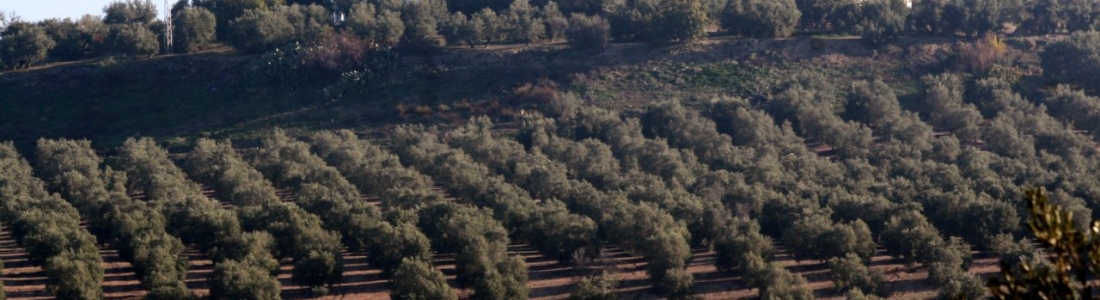 Agricultores y ganaderos perciben más de 7.411 millones de euros de las ayudas de la PAC de la campaña 2018 Agricultores y ganaderos perciben más de 7.411 millones de euros de las ayudas de la PAC de la campaña 2018