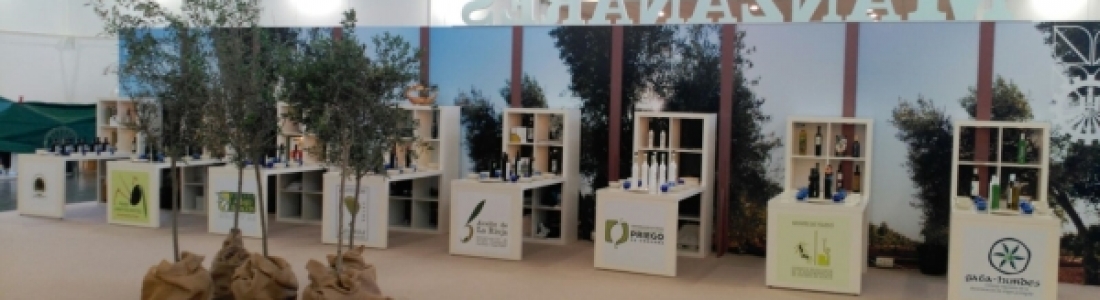 Fercam, la Feria del Campo de Manzanares, se celebra desde mañana y hasta el próximo domingo Fercam, la Feria del Campo de Manzanares, se celebra desde mañana y hasta el próximo domingo