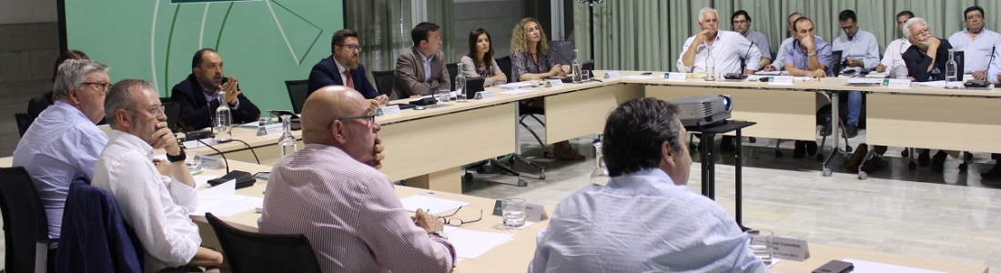Sánchez Haro aboga por hacer frente común para influir en la negociación europea y lograr una PAC justa para Andalucía Sánchez Haro aboga por hacer frente común para influir en la negociación europea y lograr una PAC justa para Andalucía