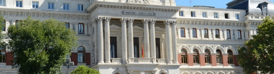 La PAC, las medidas para el olivar y la reforma de la Ley de la Cadena Alimentaria, hitos más importantes del Ministerio de Agricultura en 2020 La PAC, las medidas para el olivar y la reforma de la Ley de la Cadena Alimentaria, hitos más importantes del Ministerio de Agricultura en 2020