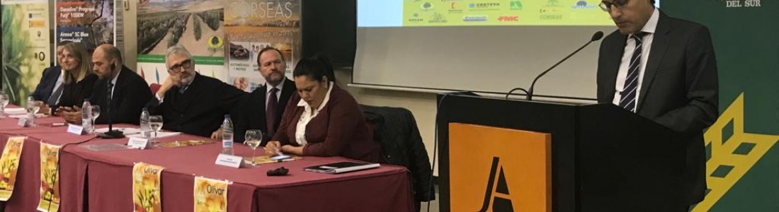 Fernando Miranda destaca las grandes oportunidades de futuro del sector del olivar Fernando Miranda destaca las grandes oportunidades de futuro del sector del olivar