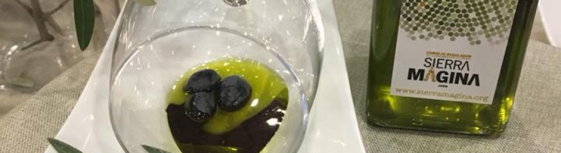 Los aceites de oliva de Sierra Mágina continúan apostando por la recolección temprana Los aceites de oliva de Sierra Mágina continúan apostando por la recolección temprana
