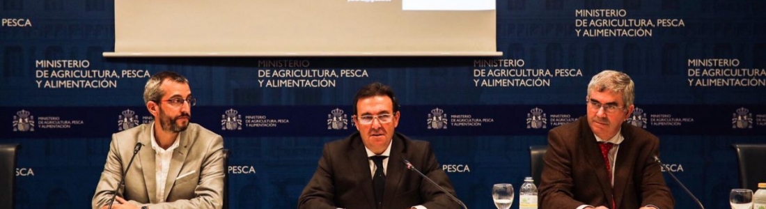 El CSIC abre una nueva vía para la prevención del alzhéimer a través del aceite de orujo de oliva El CSIC abre una nueva vía para la prevención del alzhéimer a través del aceite de orujo de oliva