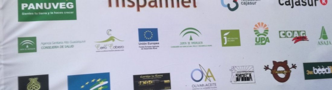 El programa de apicultura pone fin a cinco días de Oleomiel El programa de apicultura pone fin a cinco días de Oleomiel