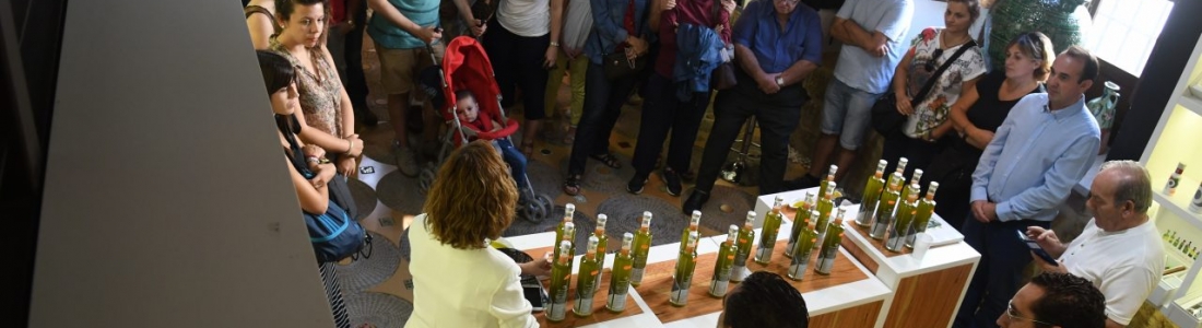 Decenas de turistas conocen en Úbeda la variedad frantoio de Oleícola Jaén Decenas de turistas conocen en Úbeda la variedad frantoio de Oleícola Jaén
