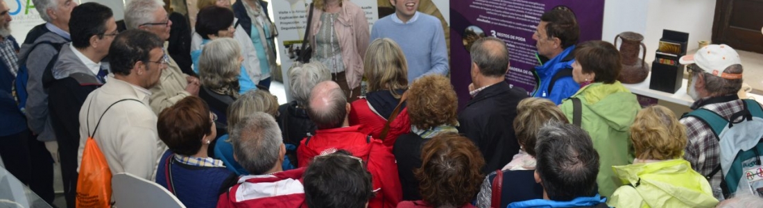 Continúan las visitas organizadas al Centro de Interpretación Olivar y Aceite de Úbeda Continúan las visitas organizadas al Centro de Interpretación Olivar y Aceite de Úbeda