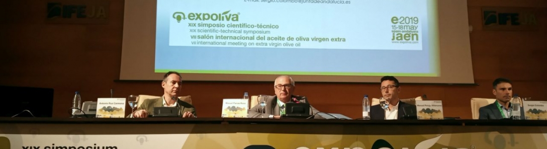 El olivar tradicional más rentable, a debate en el Foro Económico de Expoliva 2019 El olivar tradicional más rentable, a debate en el Foro Económico de Expoliva 2019