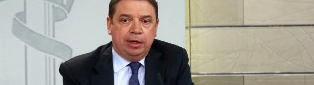 España pide a la CE medidas para el sector de la aceituna de mesa España pide a la CE medidas para el sector de la aceituna de mesa