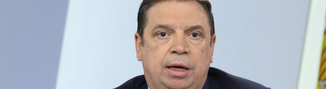 Luis Planas: El Gobierno de España considera inaceptables los aranceles del caso Airbus Luis Planas: El Gobierno de España considera inaceptables los aranceles del caso Airbus